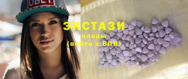 гашик Алексин