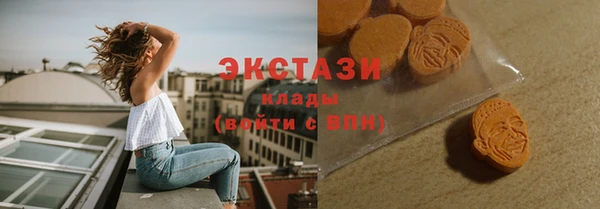 гашик Алексин