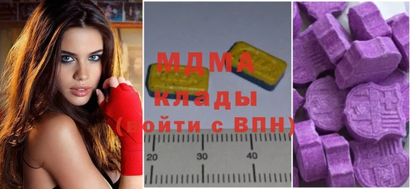 гашик Алексин