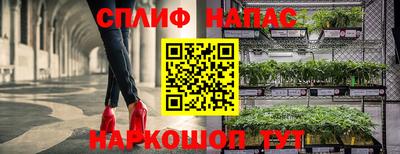 МДПВ Рыбинск