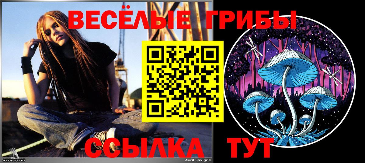 Удомля  Галлюциногенные грибы Magic Shrooms  Псилоцибиновые грибы Magic Shrooms  Вход с VPN 