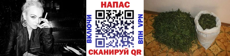 Канабис AK-47 Удомля